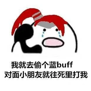 我就去偷个蓝 buff，对面小朋友就往死里打我