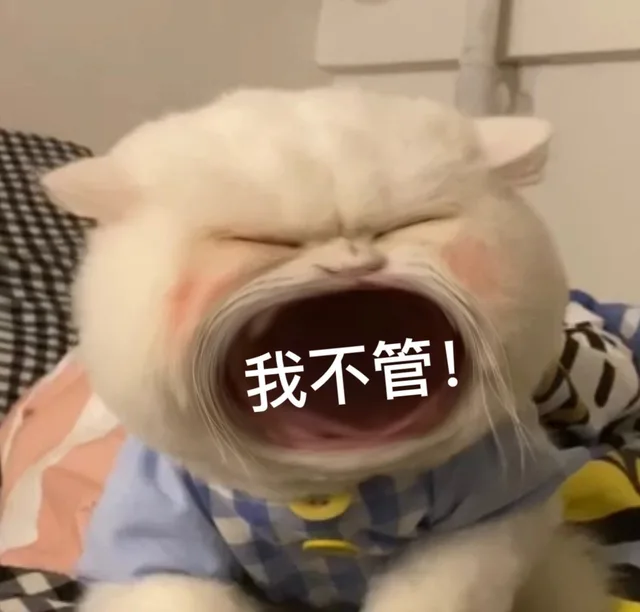 我不管!（我不管!）
