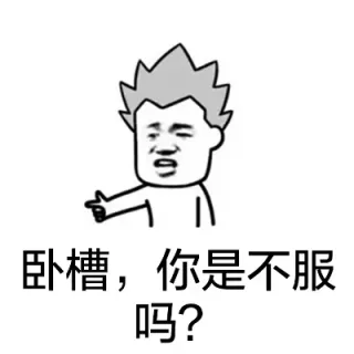 卧槽，你是不服吗？