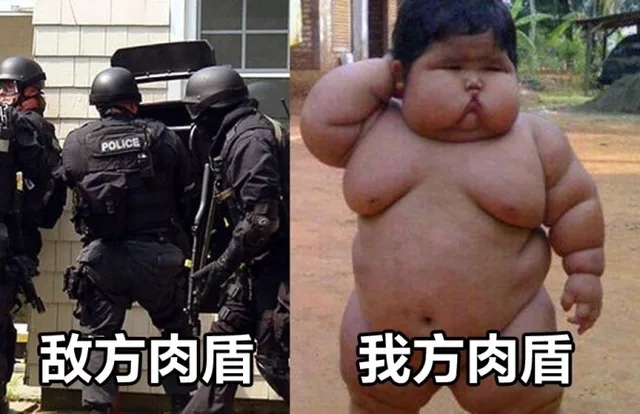 敌方肉盾我方肉盾