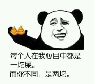 每个人在我心目中都是一坨屎，而你不同，是两坨