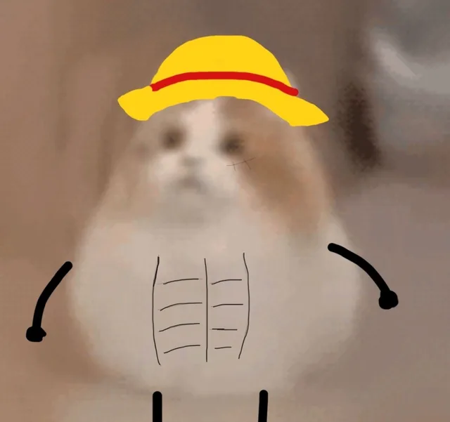 （可爱猫猫表情包_萌萌哒）