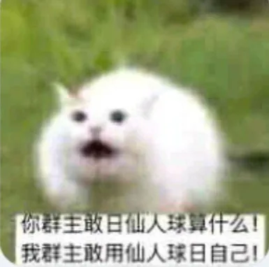 敢日仙人球算什么我群主敢用仙人球日自己!（敢日仙人球算什么我群主敢用仙人球日自己!）