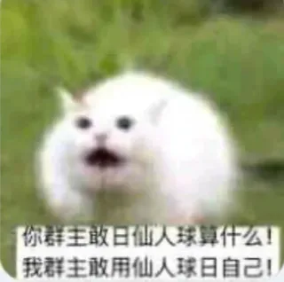 敢日仙人球算什么我群主敢用仙人球日自己!