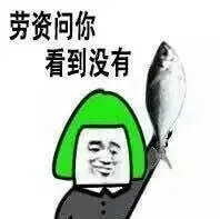 劳资问你，看到没有