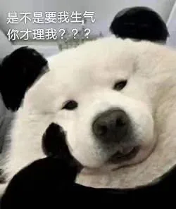 是不是要我生气你才理我???