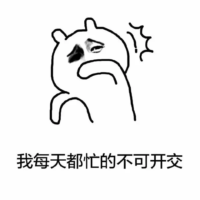 我每天都忙的不可开交