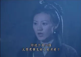 你这个丑八怪又想惹事生非了是不是?