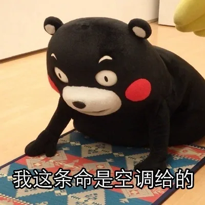 我这条命是空调给的