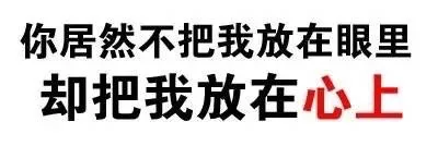 你居然不把我放在眼里，却把我放在心上（你居然不把我放在眼里，却把我放在心上）