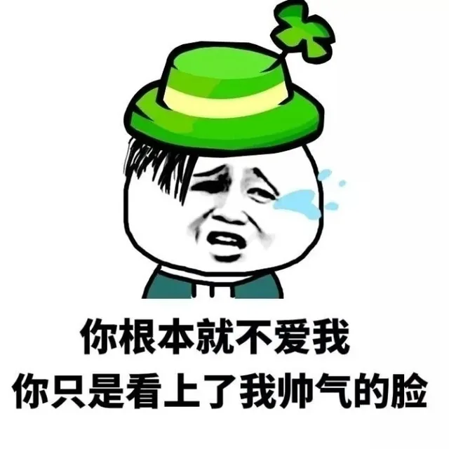 |二你根本就不爱我你只是看上了我帅气的脸（|二你根本就不爱我你只是看上了我帅气的脸）