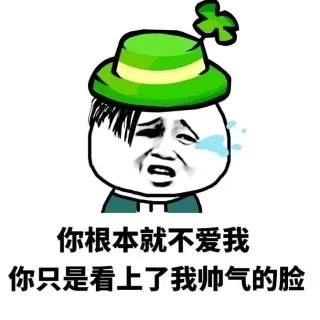 |二你根本就不爱我你只是看上了我帅气的脸