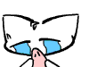 猫猫流泪