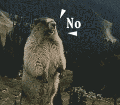 NO 不（NO 不）