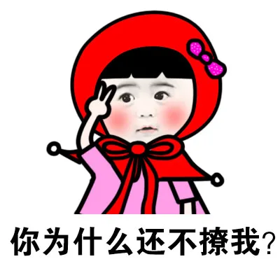 你为什么还不撩我？
