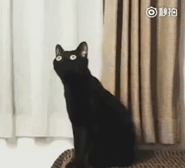 问号？？？