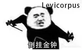 Leyicorpus倒挂金钟（Leyicorpus倒挂金钟）