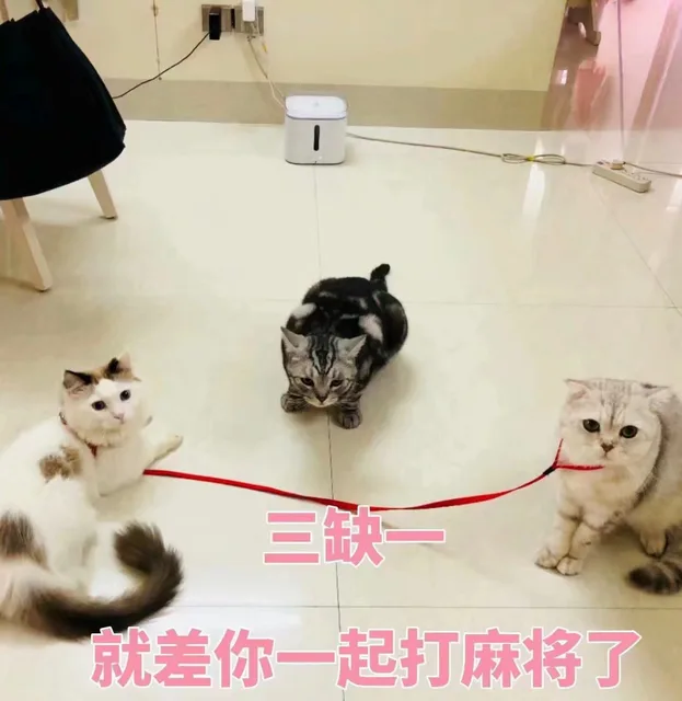 三缺一，就差你一起打麻将了