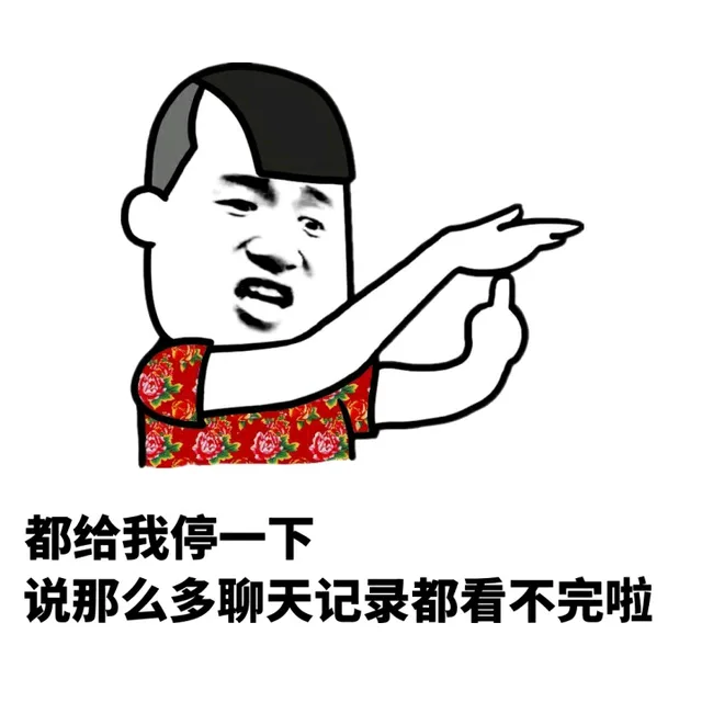 都给我停一下 说那么多聊天记录都看不完啦（都给我停一下 说那么多聊天记录都看不完啦）