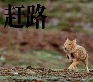 赶路
