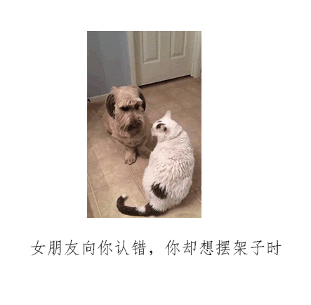 女朋友向你认错，你却想摆架子时