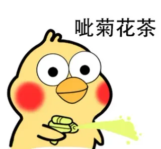 呲菊花茶