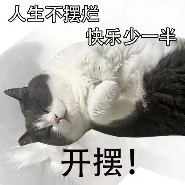 人生不摆烂快乐少一半开摆！（人生不摆烂快乐少一半开摆！）