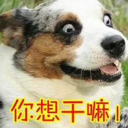 你想干嘛！