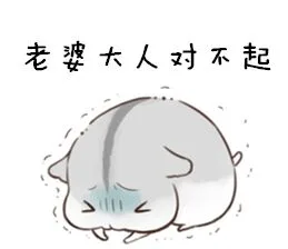 老婆大人对不起