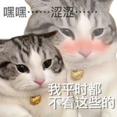 嘿嘿·…涩涩我平时都不看这些的(猫猫表情包)（嘿嘿·…涩涩我平时都不看这些的(猫猫表情包)）