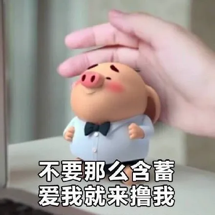 不要那么含蓄，爱我就来撸我