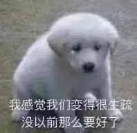我感觉我们变得很生疏 没以前那么好了（狗子流泪）