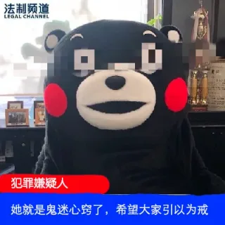 法制频道AL CHANNEL犯罪嫌疑人她就是鬼迷心窍了,希望大家引以为戒