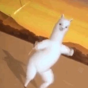 musci （魔性羊驼GIF 动图）（musci （魔性羊驼GIF 动图））