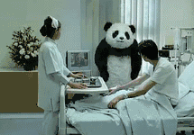 大熊猫砸东西 GIF