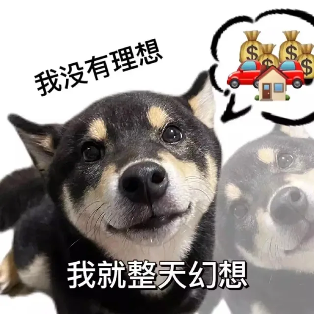 我没有理想我就整天幻想（我没有理想我就整天幻想）