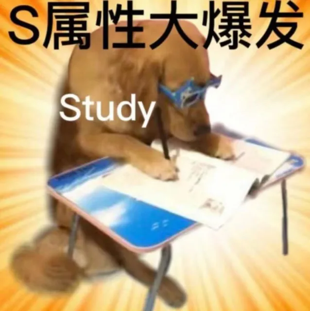 S属性大爆发Study（S属性大爆发Study）