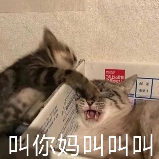 叫你妈叫叫叫 猫猫表情包（叫你妈叫叫叫 猫猫表情包）