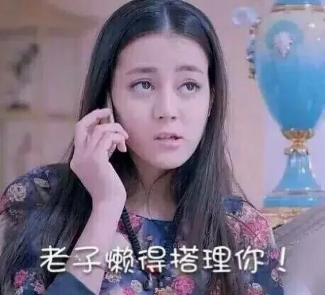 老子懒得搭理你