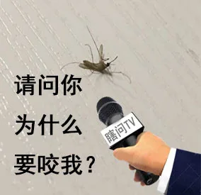 采访蚊子，请问你为什么总是咬我，我跟你有仇吗？（采访蚊子，请问你为什么总是咬我，我跟你有仇吗？）