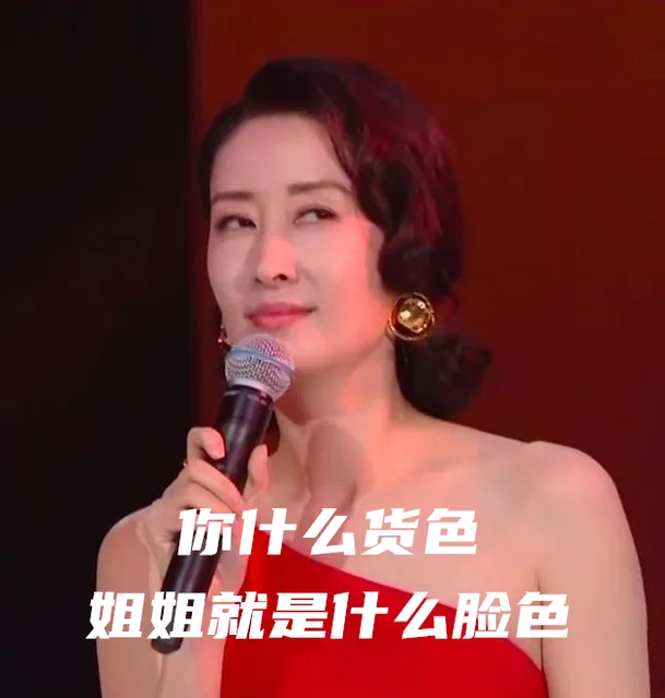 你什么货色姐姐就是什么脸色（刘敏涛表情包）（你什么货色姐姐就是什么脸色（刘敏涛表情包））