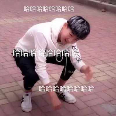 哈哈哈笑趴我