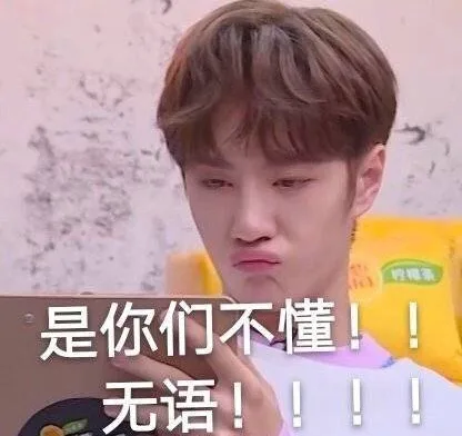 是你们不懂！无语（王一博表情包）