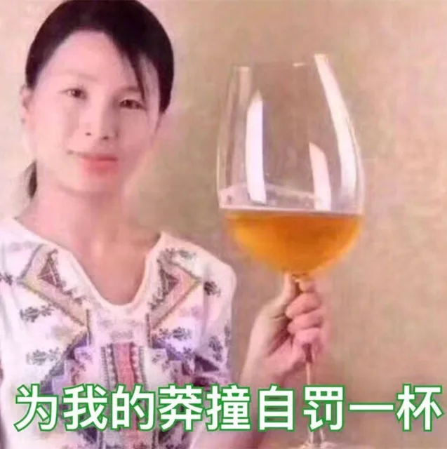为我的莽撞自罚一杯