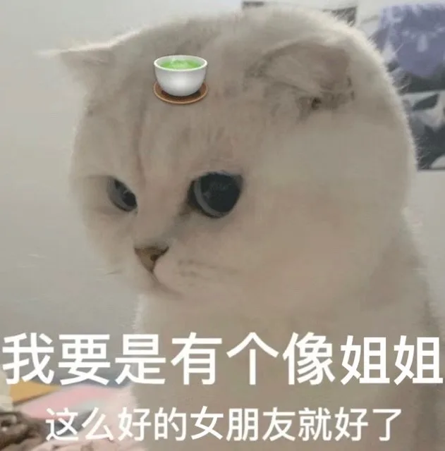 我要是有个像姐姐这么好的女朋友就好了（我要是有个像姐姐这么好的女朋友就好了）