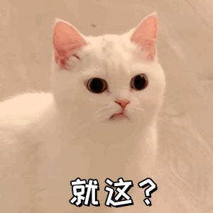 可可爱爱的喵喵表情包_猫咪