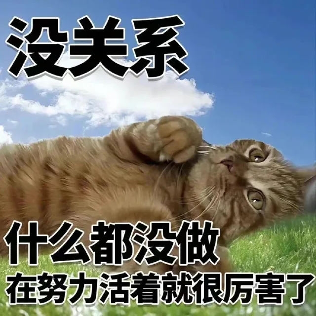 没关系什么都没做在努力活着就很厉害了（没关系什么都没做在努力活着就很厉害了）