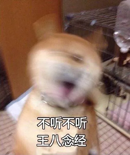 不听不听 王八念经 狗子摇头（不听不听 王八念经 狗子摇头）