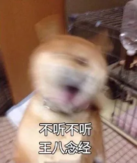 不听不听 王八念经 狗子摇头