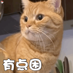 有点困（猫咪动态表情包）（有点困（猫咪动态表情包））